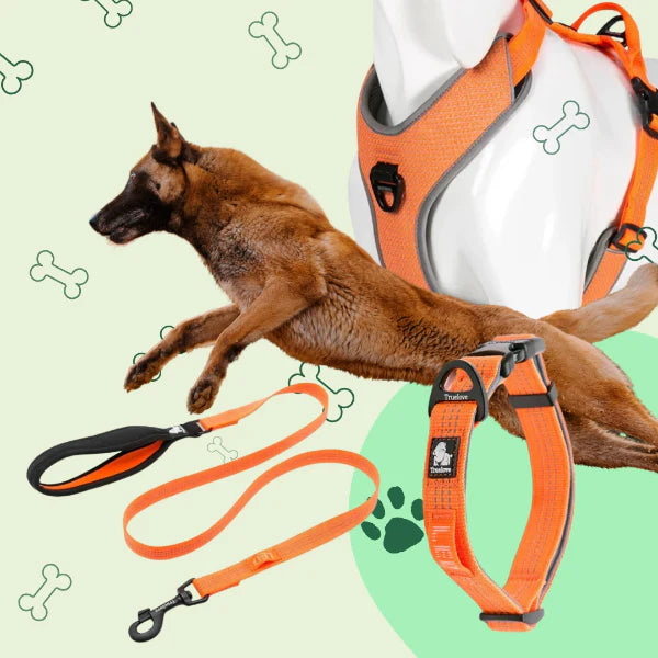 Adventure Set