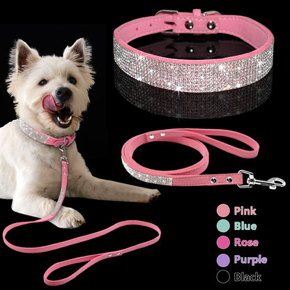 Designer-Hundehalsband