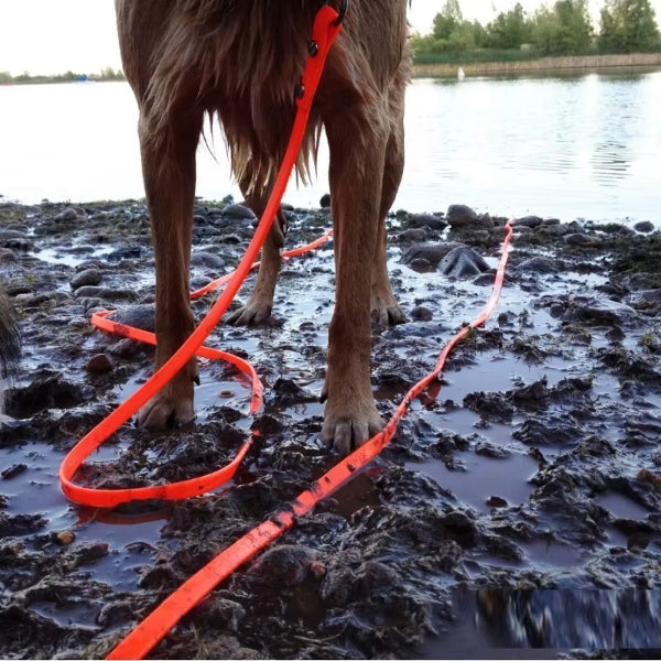 Farbenfrohe PVC-Leinen für kleine und grosse Hunde