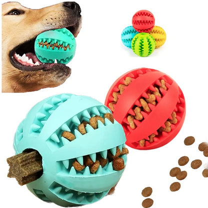 Hundeball aus Naturgummi in Aktion