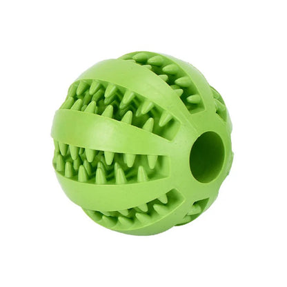 Spielender Hund mit Puzzle-Ball